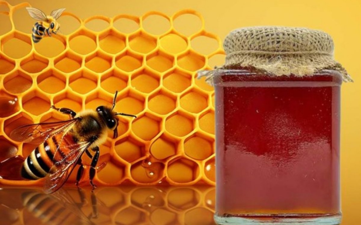 https://agridekho.com/discover-the-natural-goodness-of-organic-honey-boost-your-immunity-naturally/