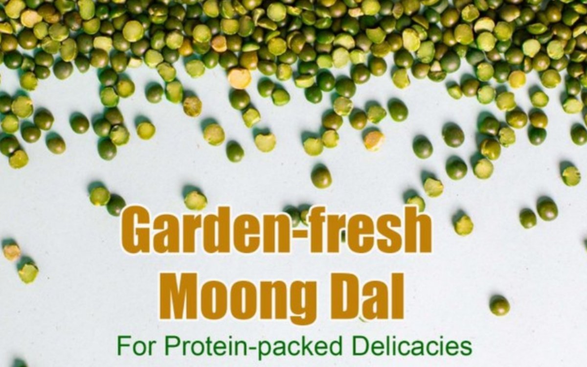 https://agridekho.com/the-nutritional-power-of-high-quality-moong-dal-a-protein-packed-superfood/