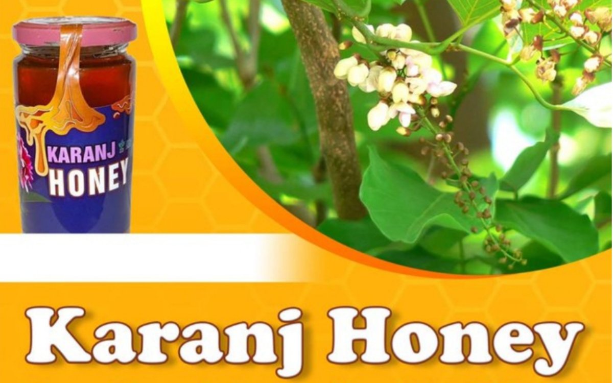 https://agridekho.com/experience-the-health-benefits-natural-sweetness-of-pure-karanj-honey/