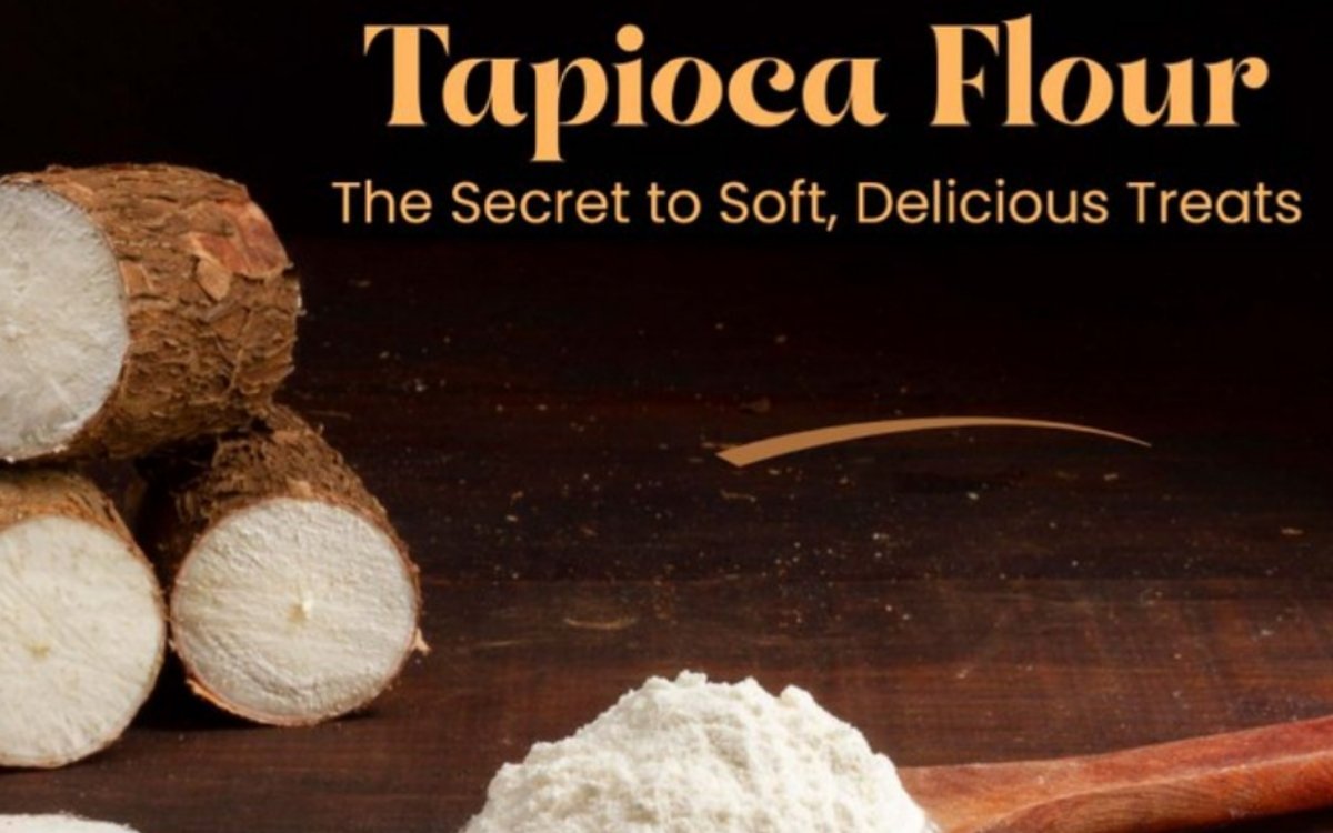 https://agridekho.com/a-versatile-flour-for-every-recipe-pure-tapioca-flour/