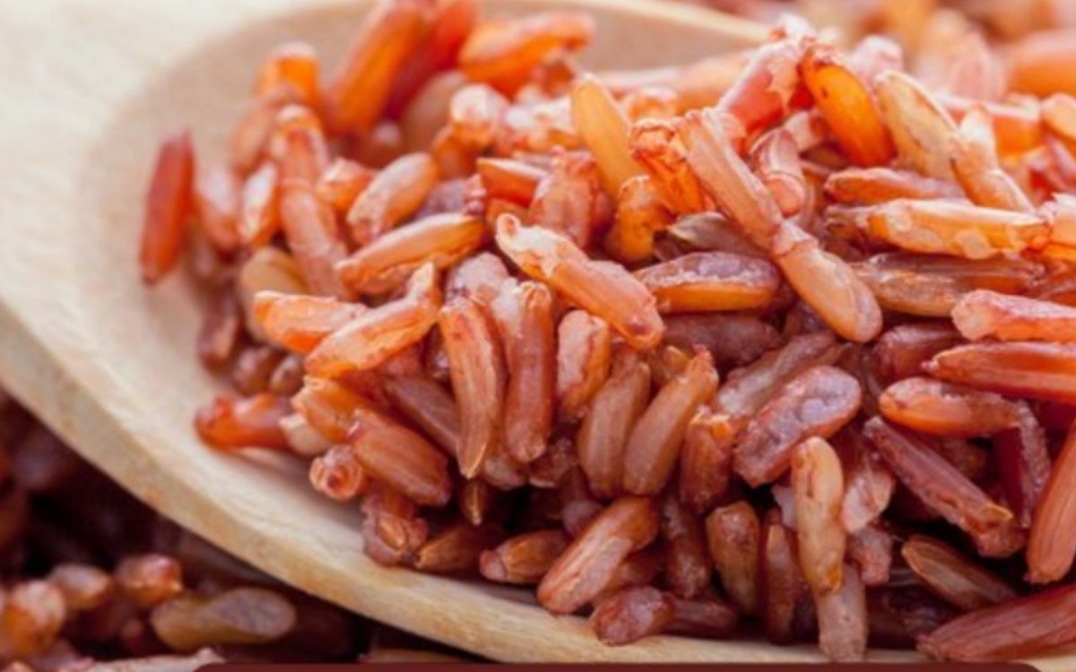 https://agridekho.com/premium-quality-bran-rice-a-healthy-and-flavorful-choice/