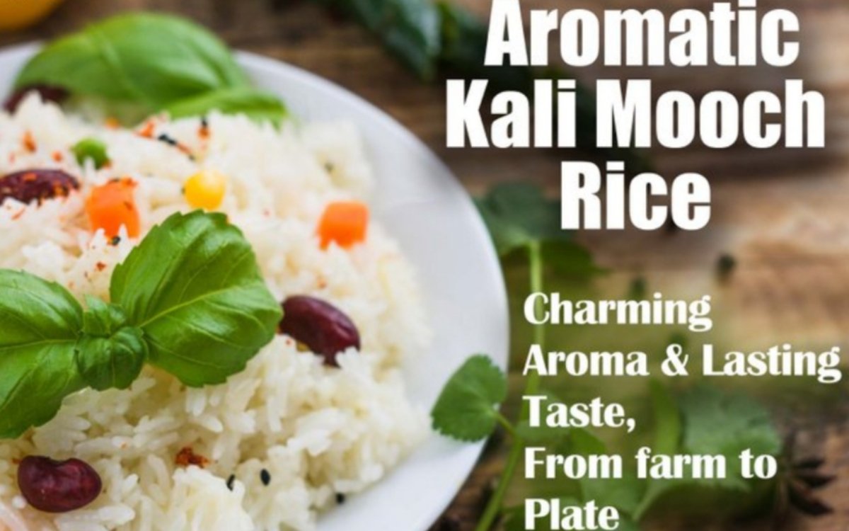 https://agridekho.com/premium-quality-kali-mooch-rice-fluffy-texture-delightful-aroma/