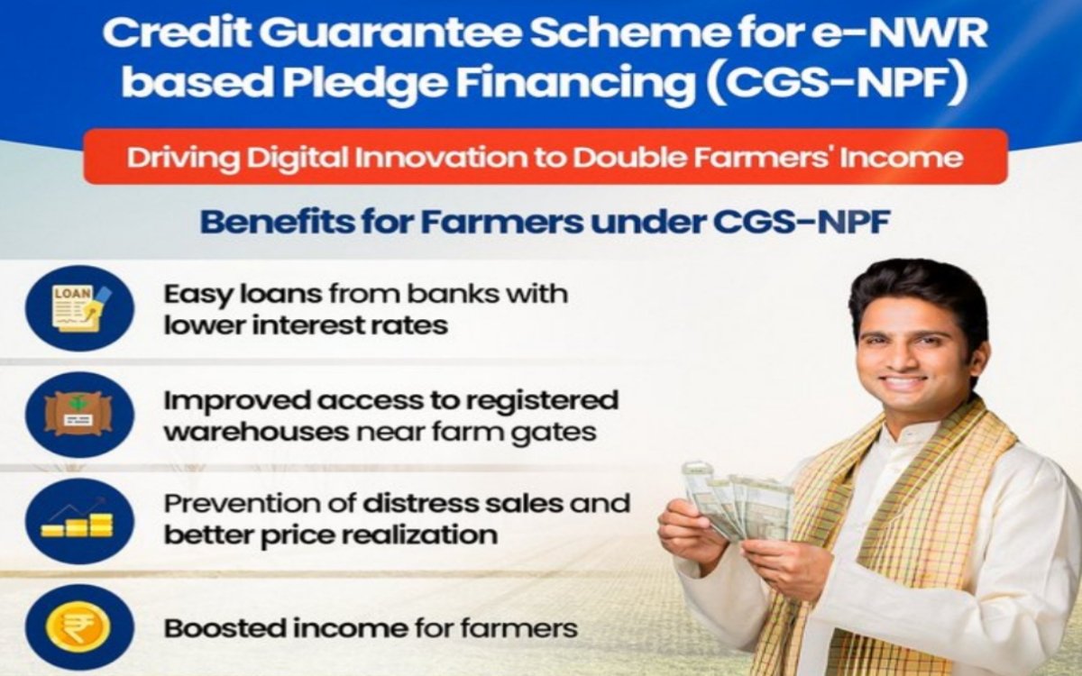 https://agridekho.com/credit-guarantee-scheme-for-e-nwr-based-pledge-financing-cgs-npf-empowering-farmers-with-easy-loans/