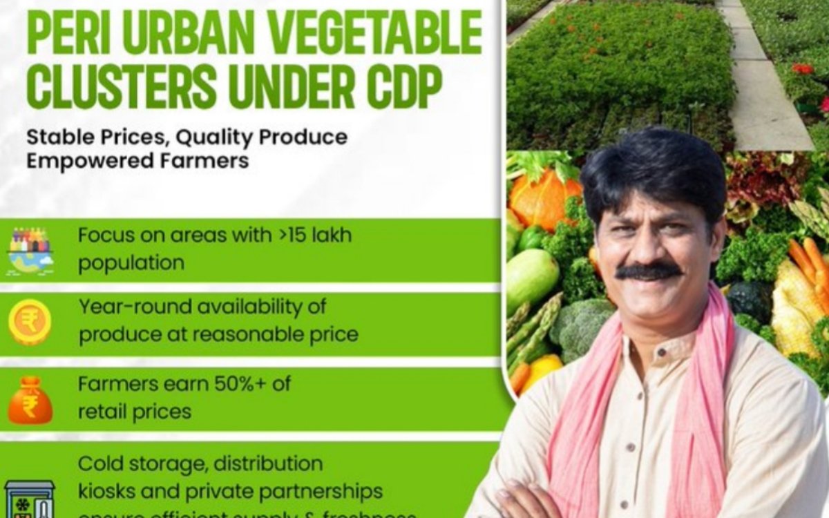 https://agridekho.com/peri-urban-vegetable-clusters-under-cluster-development-programme-a-game-changer-for-farmers-and-consumers/