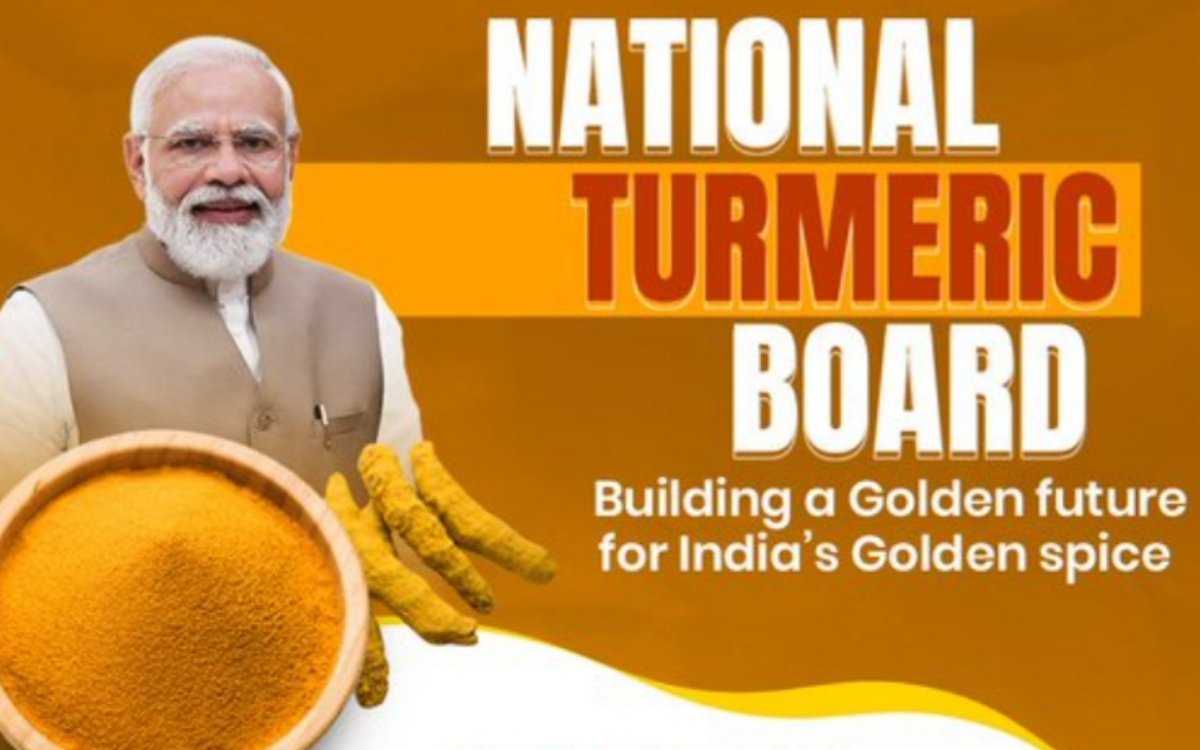 https://agridekho.com/national-turmeric-board-a-landmark-initiative-for-turmeric-farmers-in-india/