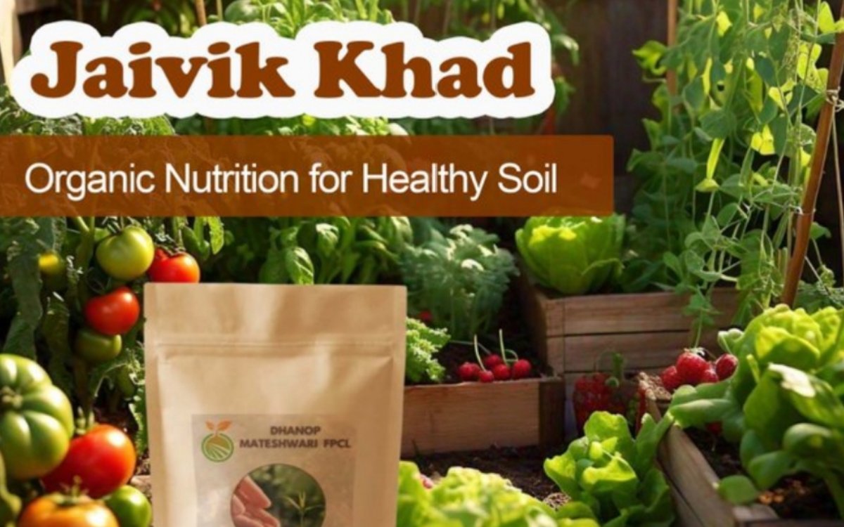 https://agridekho.com/enrich-the-soil-naturally-with-jaivik-khad-a-sustainable-choice-for-healthy-crops/